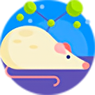 實驗動物生產和使用許可